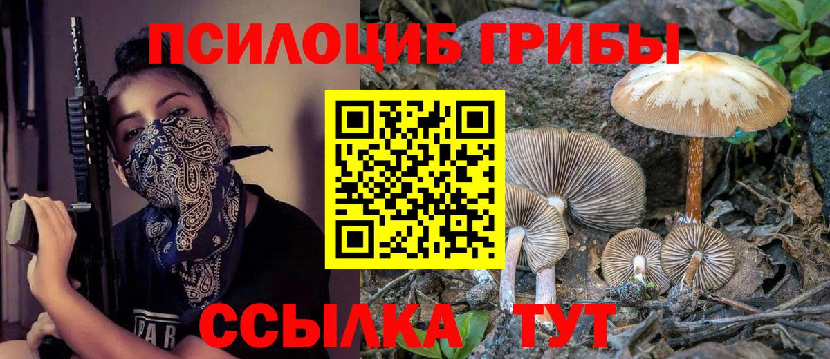 Галлюциногенные грибы MAGIC MUSHROOMS  Псилоцибиновые грибы Cubensis  Вход с VPN  Черкесск 