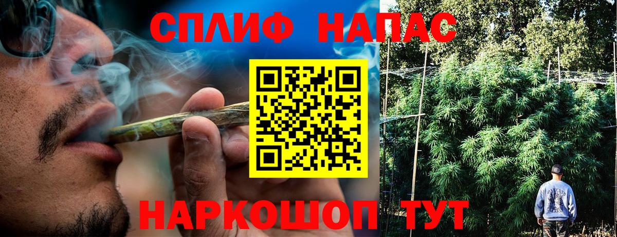Конопля план Черкесск